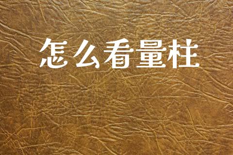 怎么看量柱_https://m.ycdhulan.com_国际金融_第1张