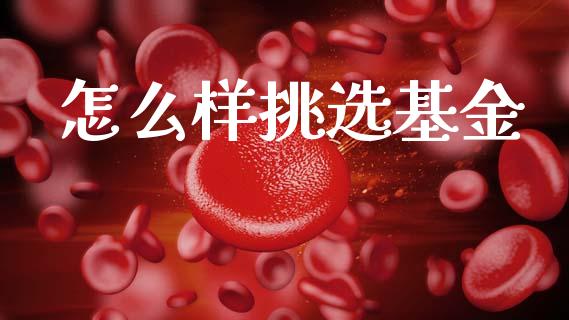 怎么样挑选基金_https://m.ycdhulan.com_财经要闻_第1张