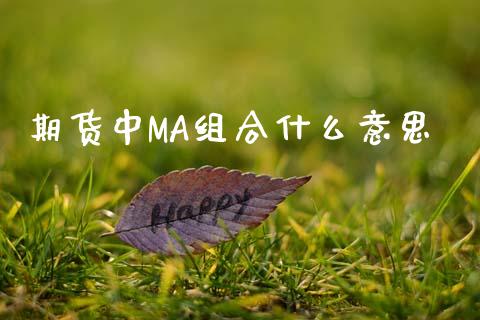期货中MA组合什么意思_财经要闻_第1张_财经要闻_股市在线_理财产品_国际金融 期货中MA组合什么意思_https://m.ycdhulan.com_财经要闻_第1张