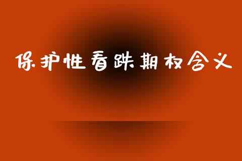 保护性看跌期权含义_https://m.ycdhulan.com_国际金融_第1张