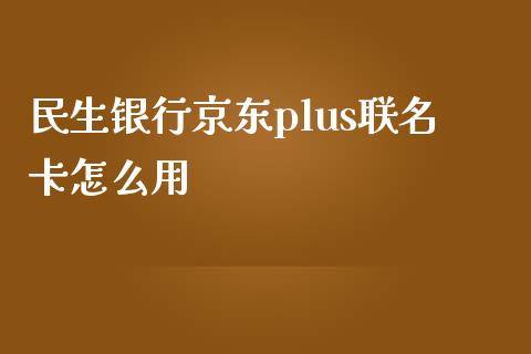 民生银行京东plus联名卡怎么用_https://m.ycdhulan.com_财经要闻_第1张