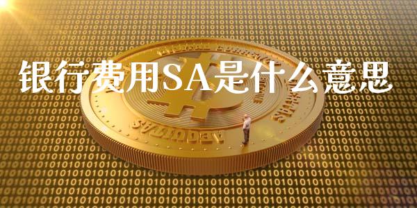 银行费用SA是什么意思_https://m.ycdhulan.com_股市在线_第1张