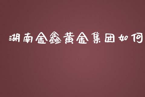 湖南金鑫黄金集团如何_https://m.ycdhulan.com_国际金融_第1张