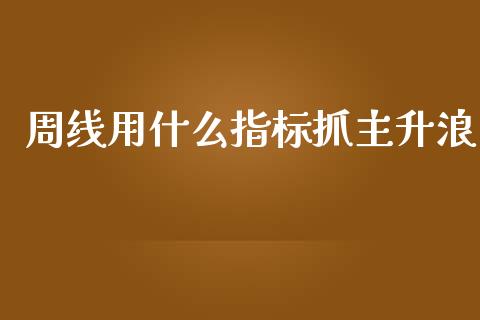 周线用什么指标抓主升浪_https://m.ycdhulan.com_国际金融_第1张