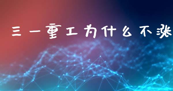 三一重工为什么不涨_https://m.ycdhulan.com_国际金融_第1张