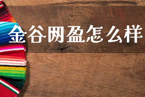 金谷网盈怎么样_https://m.ycdhulan.com_股市在线_第1张