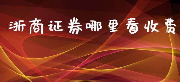 浙商证券哪里看收费_https://m.ycdhulan.com_财经要闻_第1张