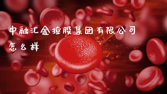 中融汇金控股集团有限公司怎么样_https://m.ycdhulan.com_证券新闻_第1张