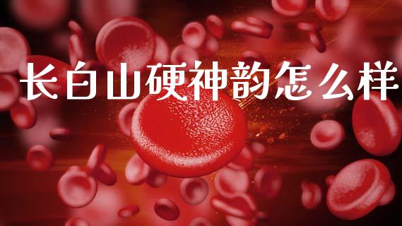 长白山硬神韵怎么样_https://m.ycdhulan.com_证券新闻_第1张