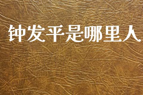 钟发平是哪里人_https://m.ycdhulan.com_国际金融_第1张