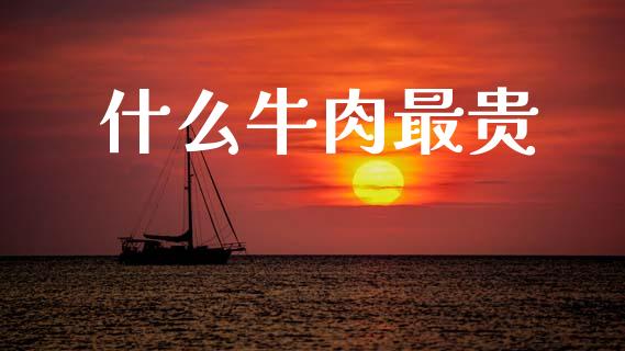 什么牛肉最贵_https://m.ycdhulan.com_证券新闻_第1张