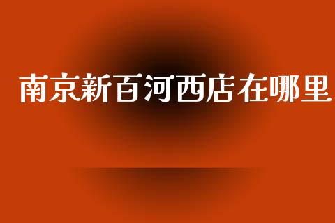 南京新百河西店在哪里_https://m.ycdhulan.com_国际金融_第1张