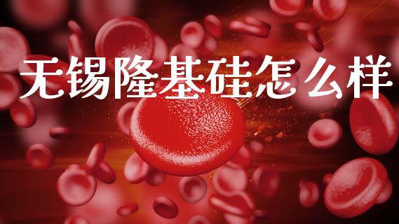 无锡隆基硅怎么样_https://m.ycdhulan.com_股市在线_第1张