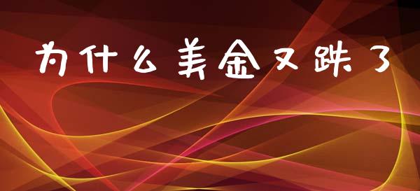 为什么美金又跌了_https://m.ycdhulan.com_期货交易_第1张
