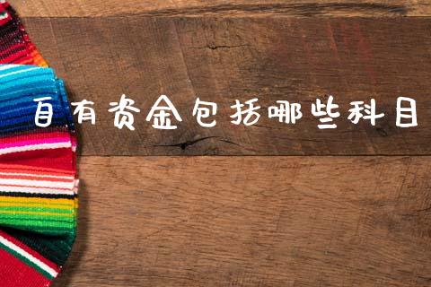 自有资金包括哪些科目_https://m.ycdhulan.com_证券新闻_第1张