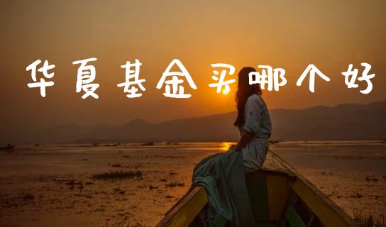 华夏基金买哪个好_https://m.ycdhulan.com_国际金融_第1张