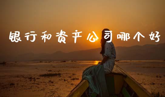 银行和资产公司哪个好_https://m.ycdhulan.com_国际金融_第1张