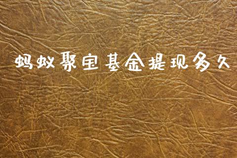 蚂蚁聚宝基金提现多久_https://m.ycdhulan.com_期货交易_第1张
