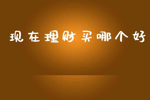现在理财买哪个好_https://m.ycdhulan.com_期货交易_第1张