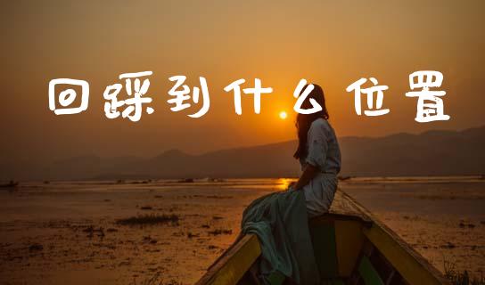回踩到什么位置_https://m.ycdhulan.com_证券新闻_第1张