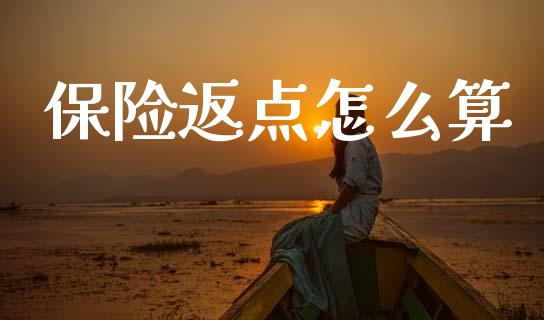保险返点怎么算_https://m.ycdhulan.com_期货交易_第1张