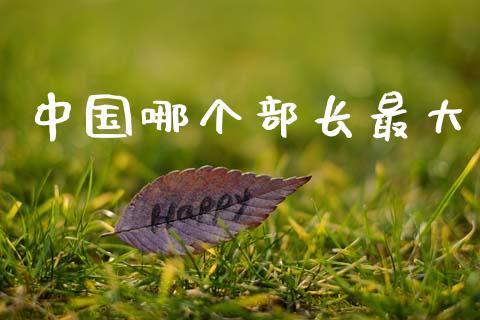 中国哪个部长最大_https://m.ycdhulan.com_股市在线_第1张