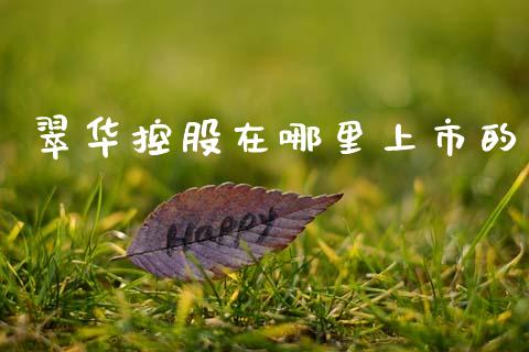 翠华控股在哪里上市的_https://m.ycdhulan.com_理财产品_第1张