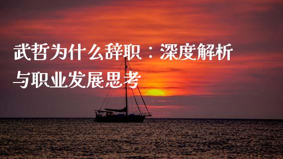 武哲为什么辞职：深度解析与职业发展思考_https://m.ycdhulan.com_财经要闻_第1张
