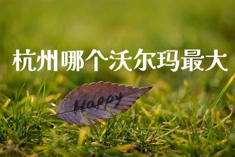 杭州哪个沃尔玛最大_https://m.ycdhulan.com_理财产品_第1张