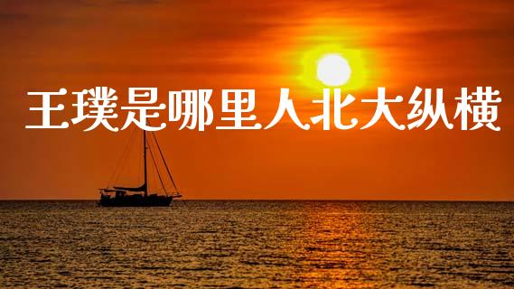 王璞是哪里人北大纵横_https://m.ycdhulan.com_股市在线_第1张