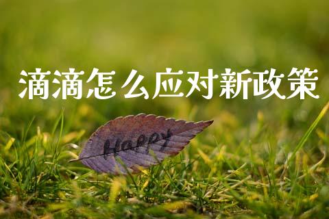 滴滴怎么应对新政策_https://m.ycdhulan.com_期货交易_第1张