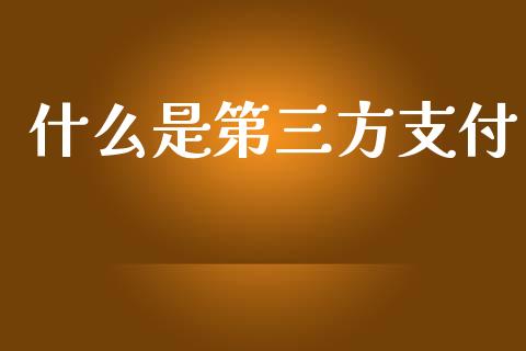 什么是第三方支付_国际金融_第1张_财经要闻_股市在线_理财产品_国际金融 什么是第三方支付_https://m.ycdhulan.com_国际金融_第1张