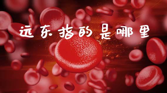 远东指的是哪里_https://m.ycdhulan.com_股市在线_第1张