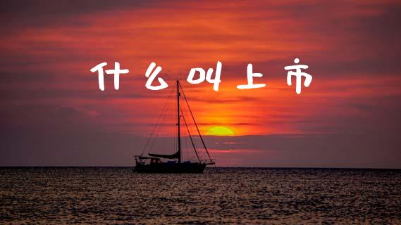什么叫上市_https://m.ycdhulan.com_股市在线_第1张