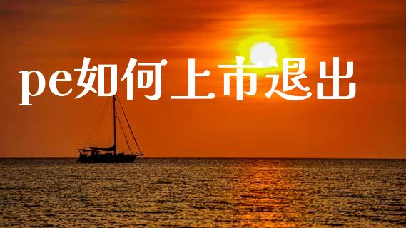 pe如何上市退出_https://m.ycdhulan.com_财经要闻_第1张