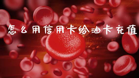怎么用信用卡给油卡充值_https://m.ycdhulan.com_证券新闻_第1张