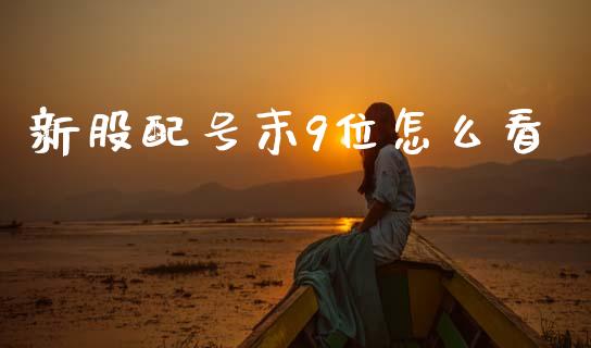 新股配号末9位怎么看_https://m.ycdhulan.com_理财产品_第1张