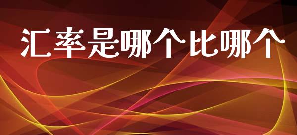 汇率是哪个比哪个_https://m.ycdhulan.com_理财产品_第1张