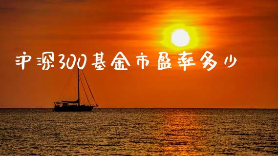 沪深300基金市盈率多少_https://m.ycdhulan.com_国际金融_第1张