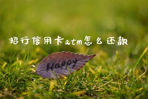 招行信用卡atm怎么还款_https://m.ycdhulan.com_股市在线_第1张