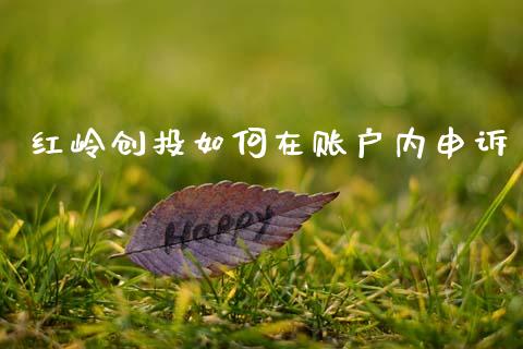 红岭创投如何在账户内申诉_https://m.ycdhulan.com_股市在线_第1张