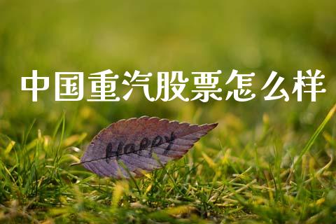 中国重汽股票怎么样_https://m.ycdhulan.com_期货交易_第1张