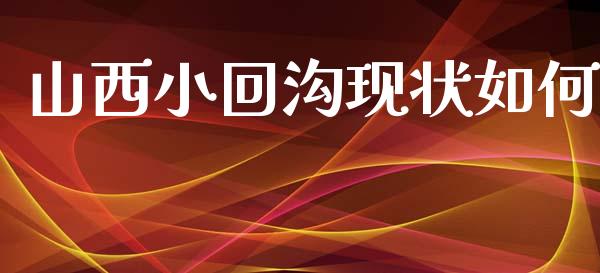 山西小回沟现状如何_https://m.ycdhulan.com_股市在线_第1张