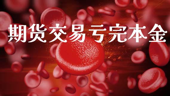 期货交易亏完本金_https://m.ycdhulan.com_国际金融_第1张