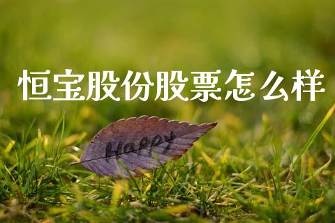恒宝股份股票怎么样_https://m.ycdhulan.com_财经要闻_第1张