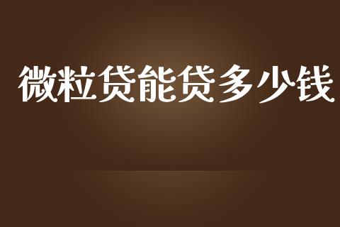 微粒贷能贷多少钱_https://m.ycdhulan.com_股市在线_第1张