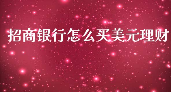 招商银行怎么买美元理财_https://m.ycdhulan.com_财经要闻_第1张