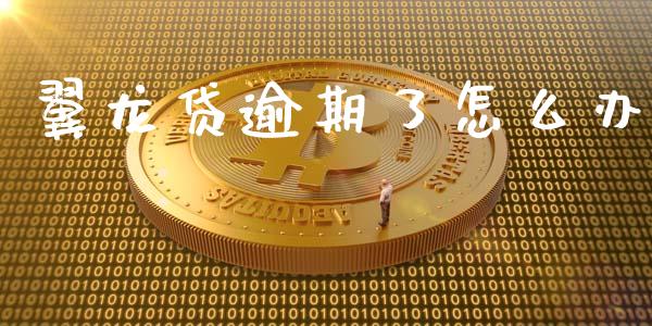 翼龙贷逾期了怎么办_https://m.ycdhulan.com_财经要闻_第1张