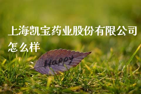 上海凯宝药业股份有限公司怎么样_https://m.ycdhulan.com_财经要闻_第1张
