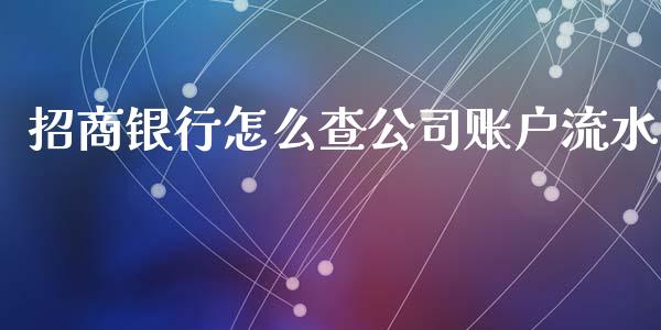 招商银行怎么查公司账户流水_https://m.ycdhulan.com_期货交易_第1张